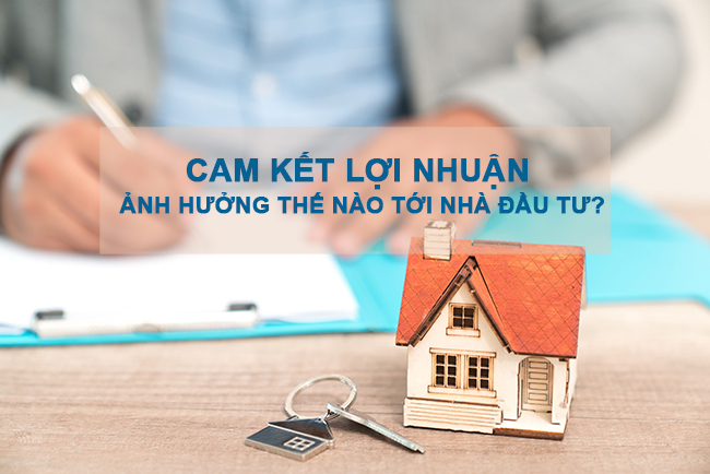 Cam kết lợi nhuận condotel - 2