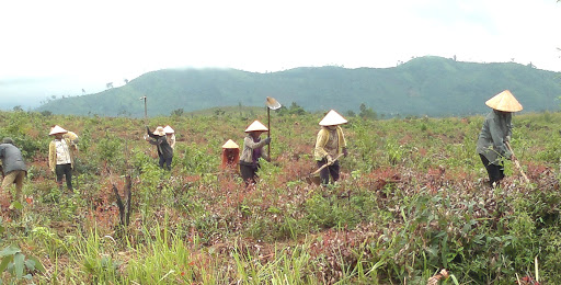 Chuyển nhượng đất 134 - 1