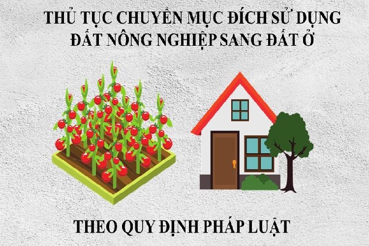 chuyển mục đích sử dụng đất-3